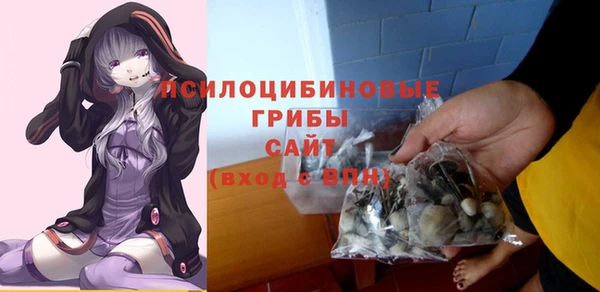 mdpv Краснотурьинск